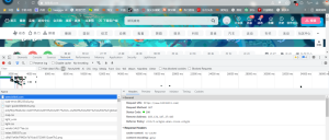 前端缓存  自己去配置一下